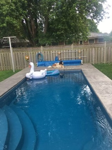 Rectangular in-ground swimming pool with entry steps, decorative concrete deck, and fenced backyard.